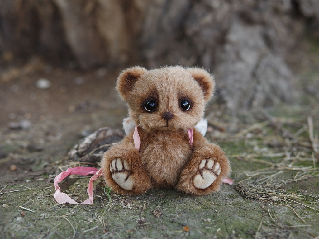 Teddy Room - Marina Kachan