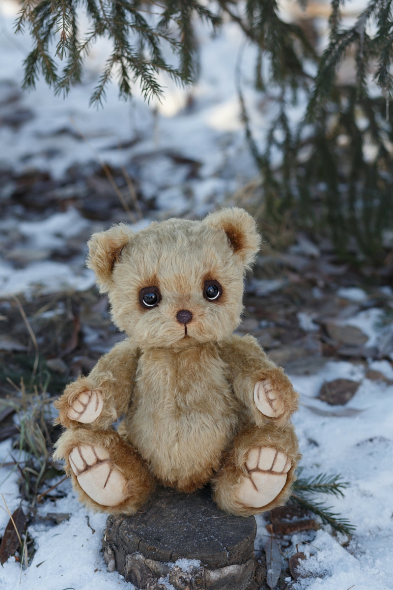 Teddy Room - Marina Kachan