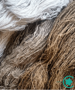 Chirita And The Women Weavers Of The Hills.