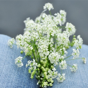 Why your Jeans are a part of the Dirty Business