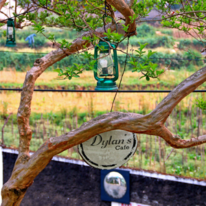 Travelling to Shillong on a Budget.