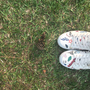 Travelling to Shillong on a Budget.