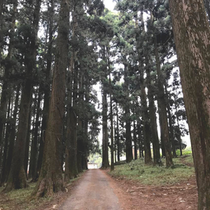 Travelling to Shillong on a Budget.