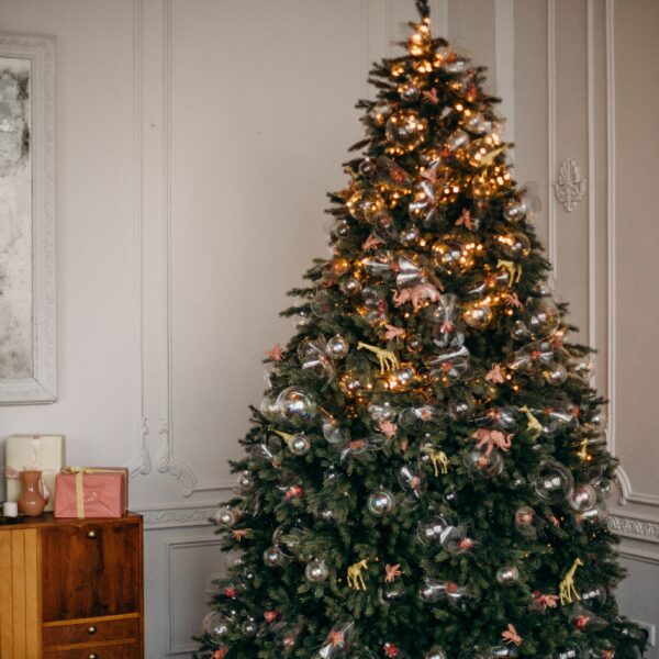 Holiday Gift Guide: 2021 Edition Holiday Gift Guide: 2021 Edition